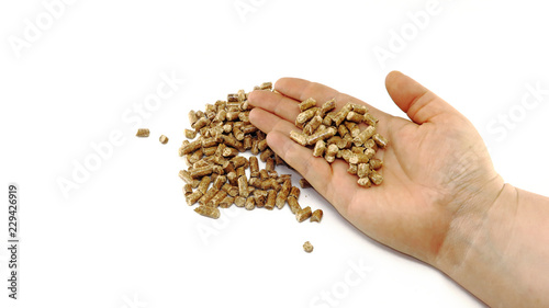 Biocombustible alternativo a partir de aserrín, pellets de madera en la mano.. Combustible para estufas y calderas de calefaccion de biomasa