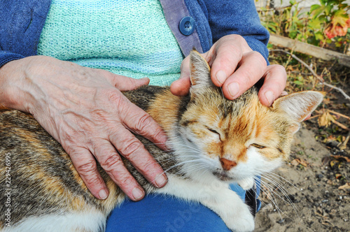 old woman, sitting on the street, stroking a cat.