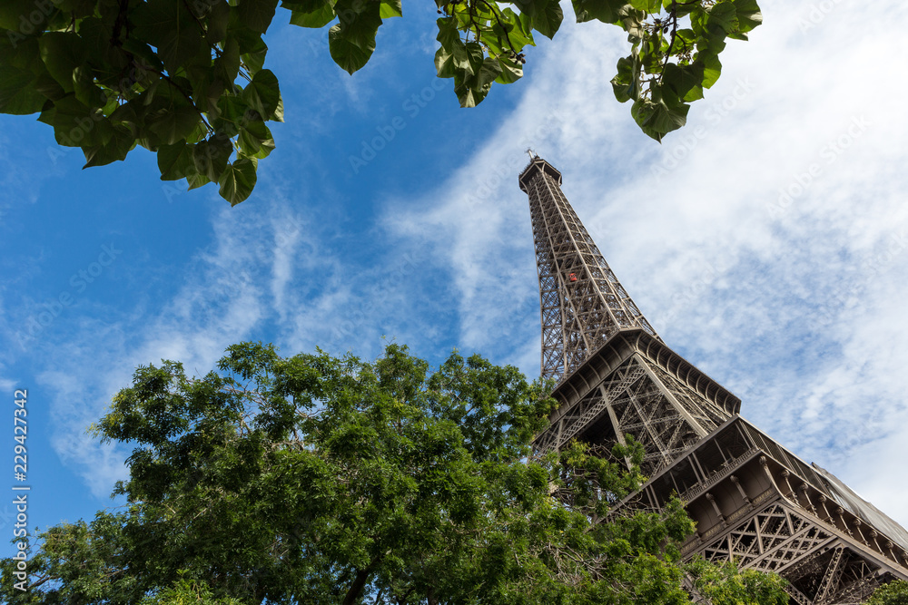 View of the Eiffel Tower in the city of Paris in sunny day with trees in the foreground. View of the Eiffel Tower in the city of Paris in sunny day with trees in the foreground.