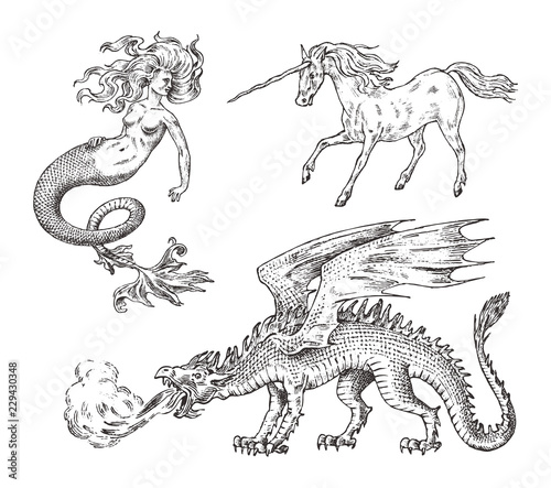 Set of Mythological animals. Mermaid Unicorn Chinese dragon Basilisk Woman. Greek creatures. Engraved hand drawn antique old vintage sketch.