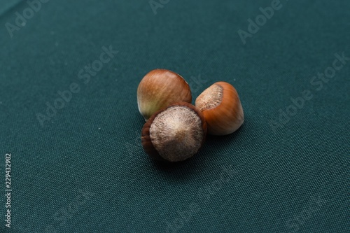 hazelnuts 