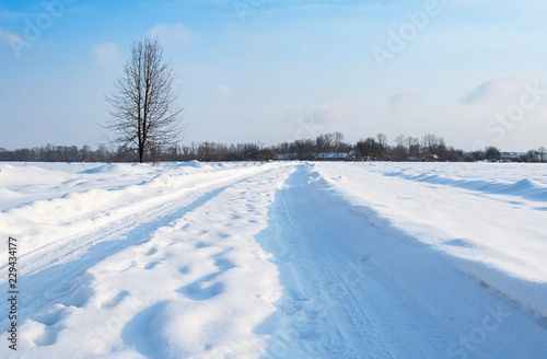 road is in winter forest