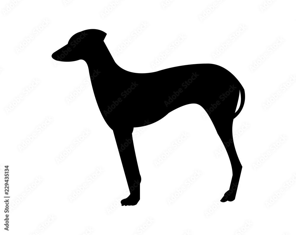 Black dog hound silhouette, isolated on white