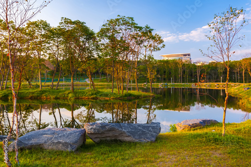 Colorful lake with decorative stones on the shore and young trees at sunrise landscape. Far Eastern Federal University DVFU, Island Russian, Vladivostok, Primorsky region, Russia. photo