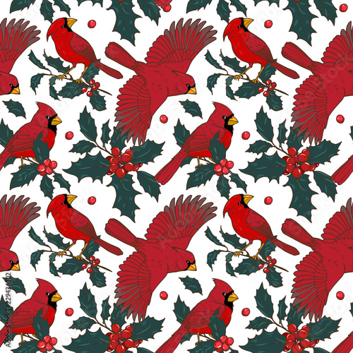 Northern cardinal and Holly branches