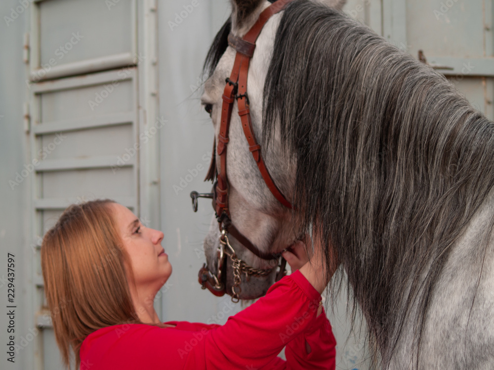 Fototapeta premium A blond young woman stroking a horse on a farm