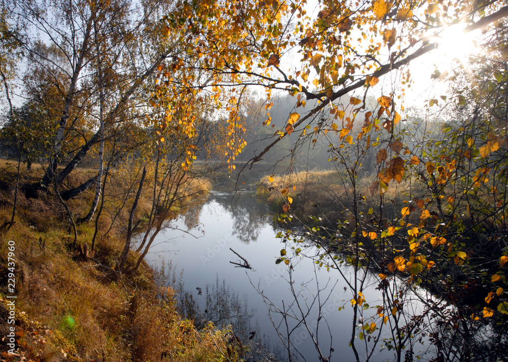 Obraz premium Природа/Nature