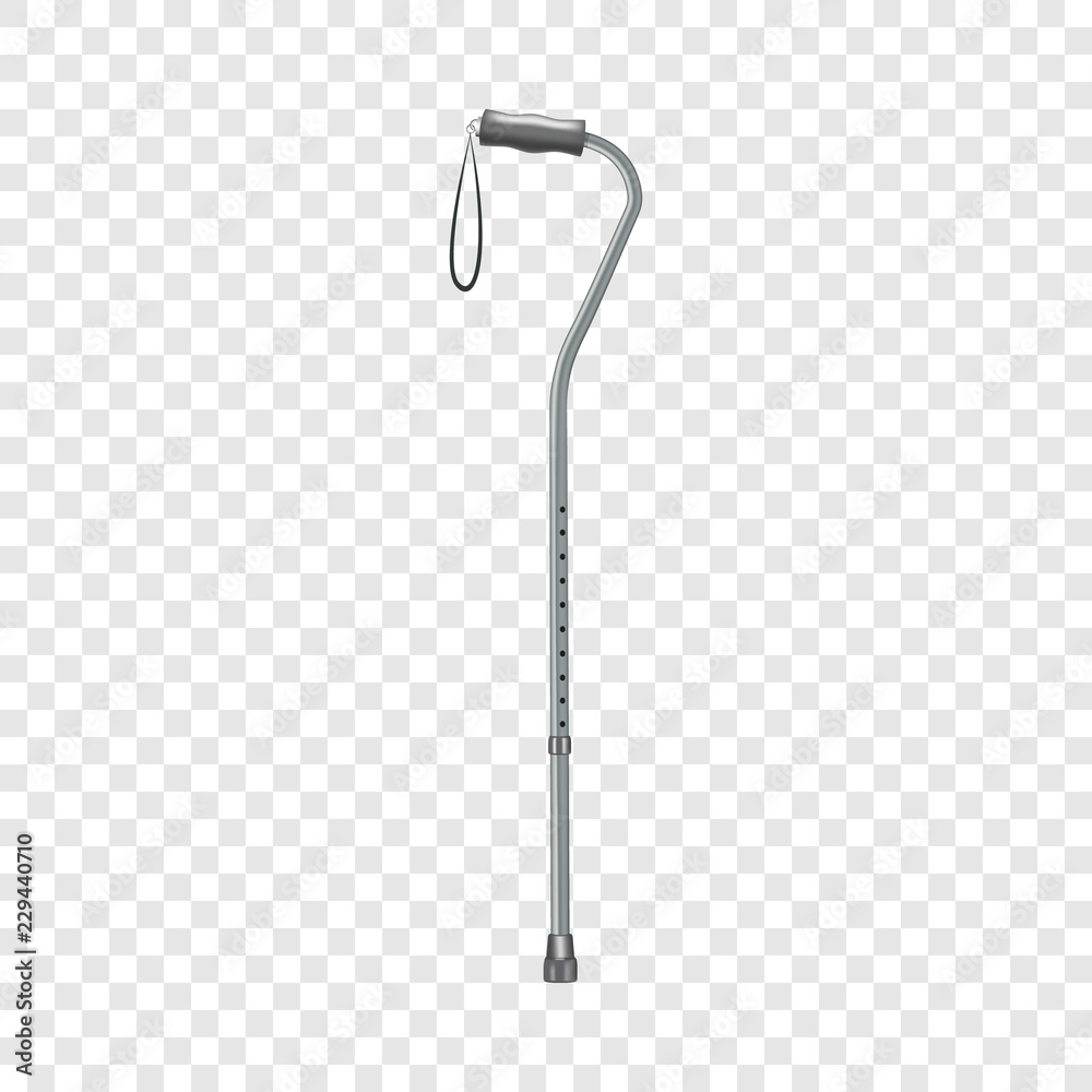 Walking stick icon. Realistic illustration of walking stick vector icon