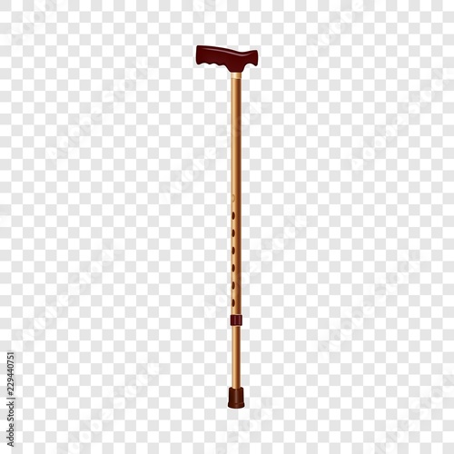 Steel walk stick icon. Realistic illustration of steel walk stick vector icon for web design on transparent background for web