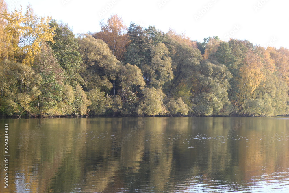 autumn landscape with lake and trees autumn landscape with lake and trees
