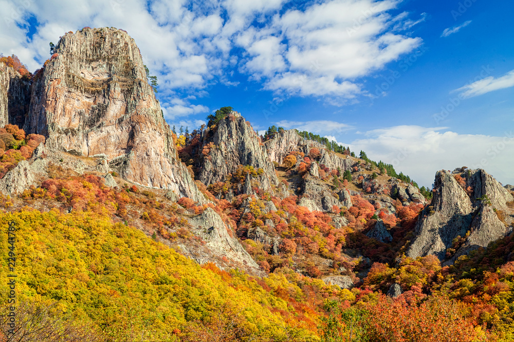 Frakto wood - Greece National park - Rhodope - Rock garden