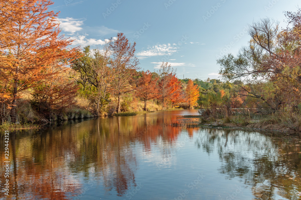 autumn landscape with lake and trees