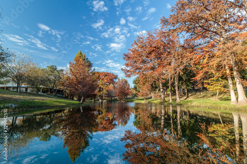 autumn at henderson creek