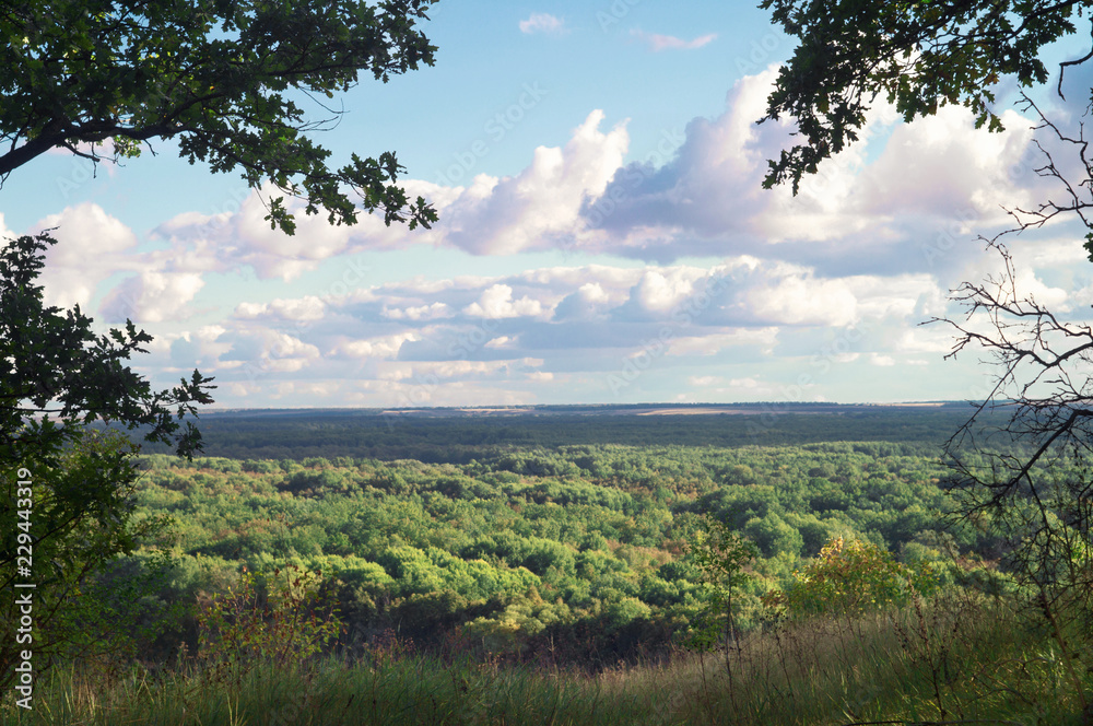 Scenic view of the valley covered with forests under a cloudy sky. Wildlife nature landscape Scenic view of the valley covered with forests under a cloudy sky. Wildlife nature landscape