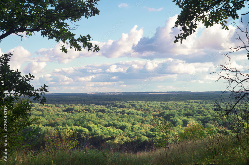 Scenic view of the valley covered with forests under a cloudy sky. Wildlife nature landscape