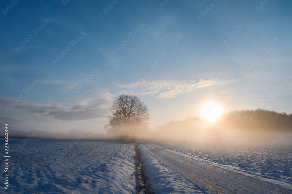Sunrise over a country road covered in snow - obrazy, fototapety, plakaty 