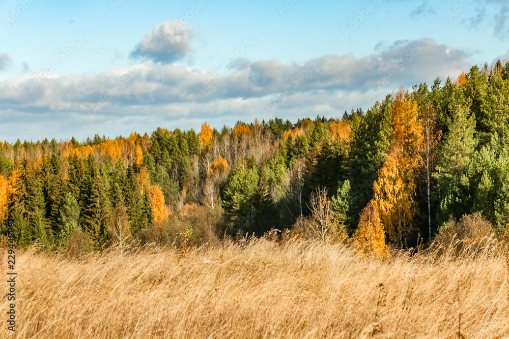 Fototapeta premium Russian North. Autumn