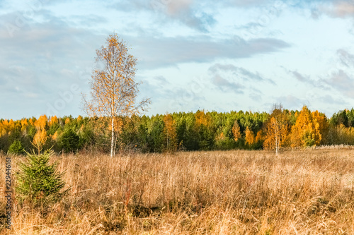 Russian North. Autumn