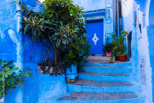 Garden in front of the house in the blue medina Chefchaouen, Morocco in Africa © pszabo