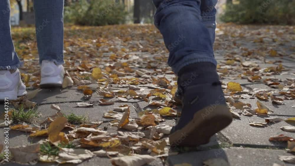 Close up of woman and boy legs walking through an autumn park at sunset. Close up of woman and boy legs walking through an autumn park at sunset.