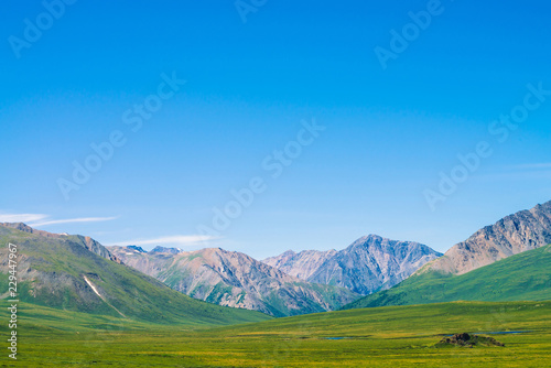 Giant mountains with snow above green valley under clear blue sky. Meadow with rich vegetation and lakes of highlands in sunlight. Amazing sunny mountain landscape of majestic nature.