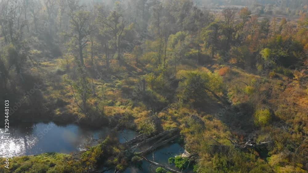 aerial view of a beautiful landscape with some trees and the meandering river aerial view of a beautiful landscape with some trees and the meandering river