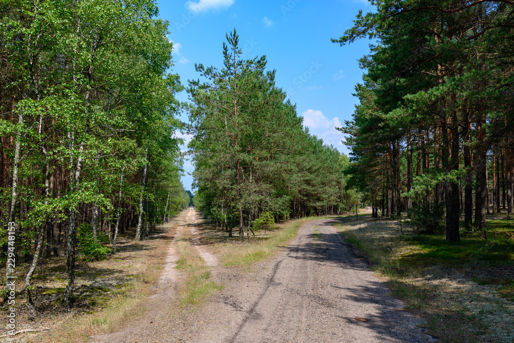 Fototapeta premium landscapes of Poland