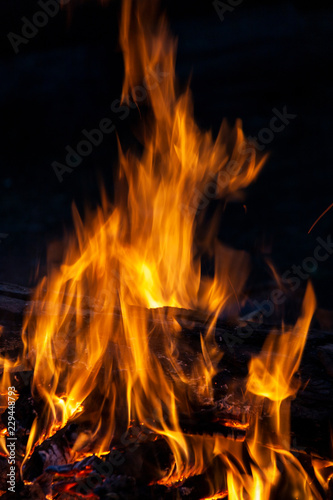 Fire  flames on a black background.