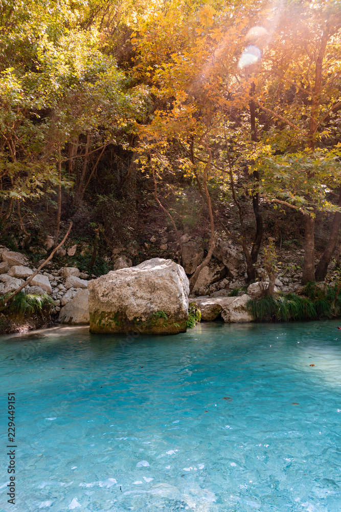 A turquoise river through the forest in Greece A turquoise river through the forest in Greece