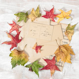 Used paper and autumn leaves rustic wooden background