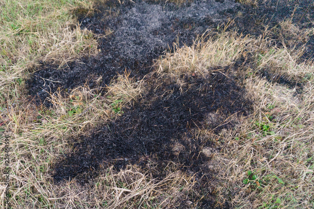 Dry burnt grass on the field, air pollution Dry burnt grass on the field, air pollution