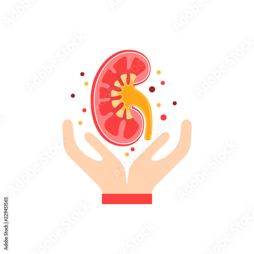 Kidney care vector concept