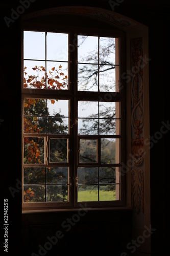 Window with autumn colours outside