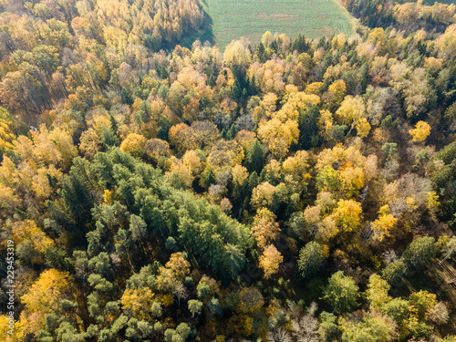 drone image. aerial view of rural area in autumn with yellow and red colored trees from above