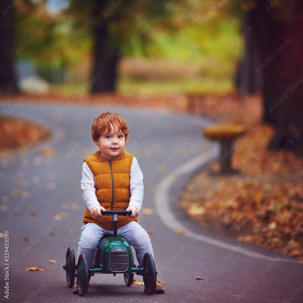 cute redhead baby boy driving a push car in autumn park cute redhead baby boy driving a push car in autumn park