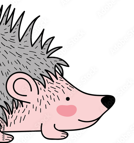 Porcupine animal drawing