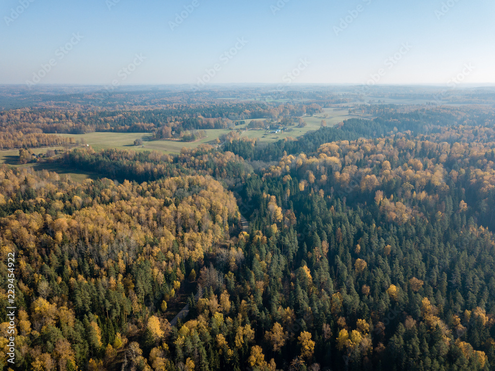 drone image. aerial view of rural area in autumn with yellow and red colored trees from above
