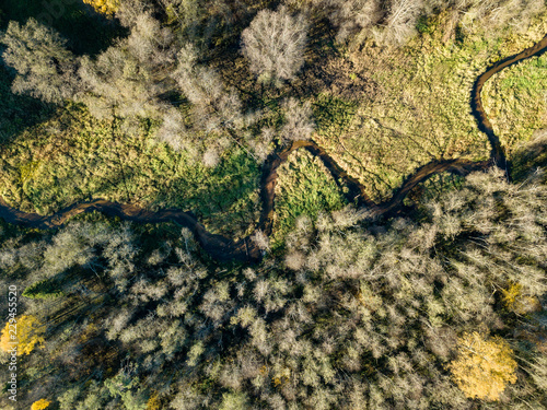 drone image. aerial view of wavy river in autumn colored forest