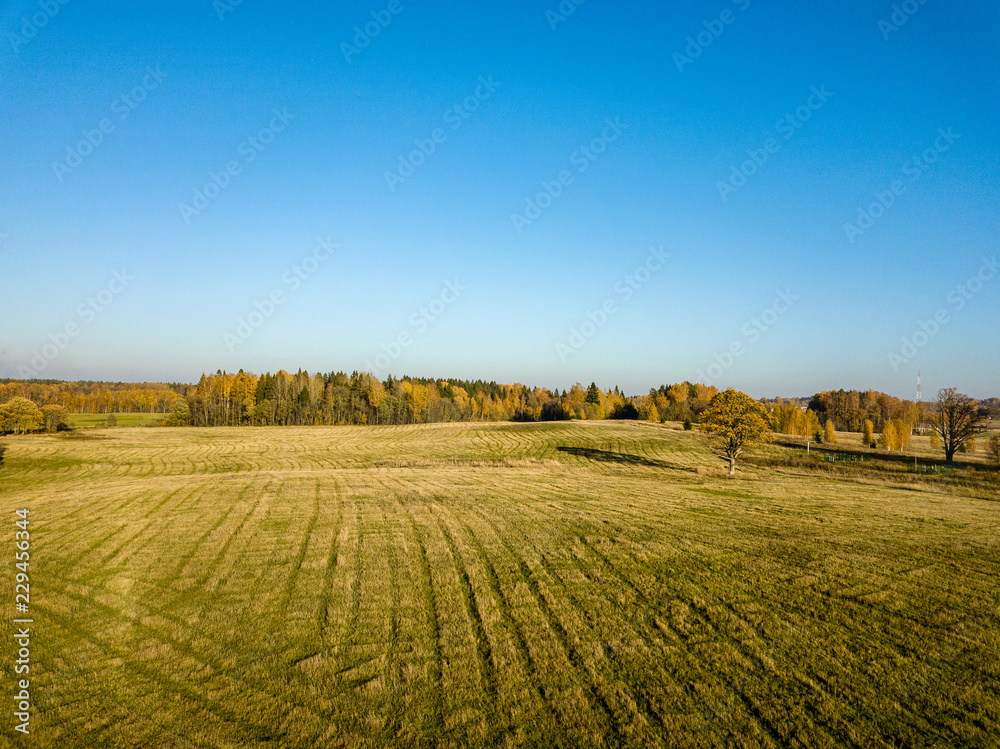 drone image. aerial view of rural area with fields and forests in autum