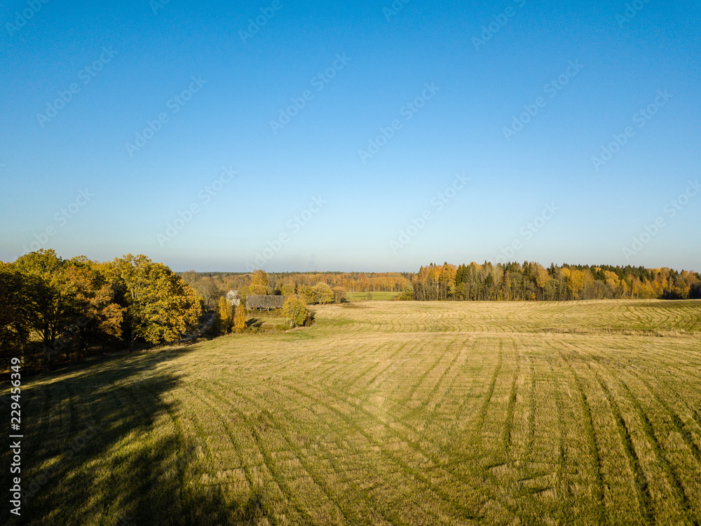 Fototapeta premium drone image. aerial view of rural area with fields and forests in autum