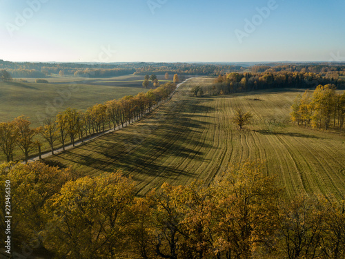 drone image. aerial view of rural area with fields and forests in autum