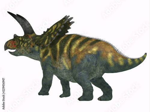 Coahuilaceratops Dinosaur Tail