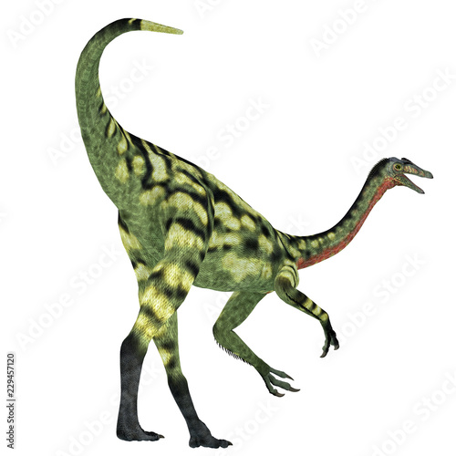 Deinocheirus Dinosaur Tail © Catmando
