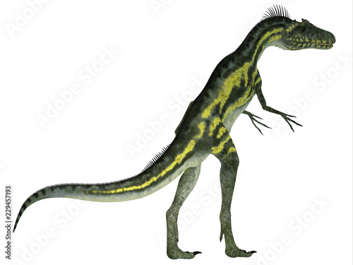 Deltadromeus Dinosaur Tail