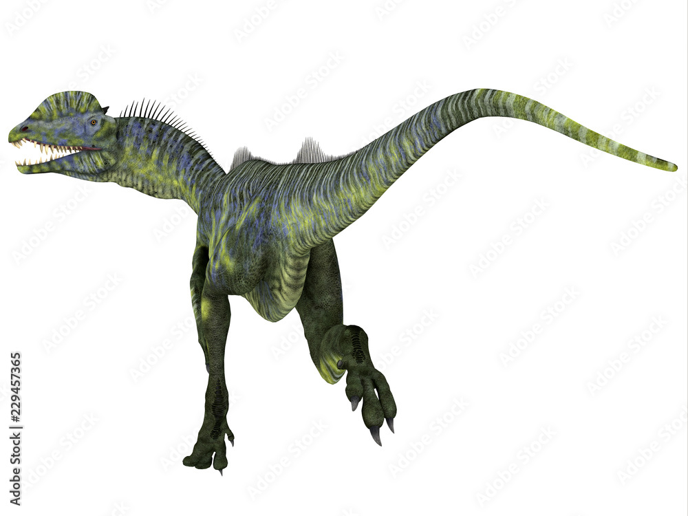 Fototapeta premium Dilophosaurus Dinosaur Running