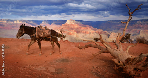 canyon view