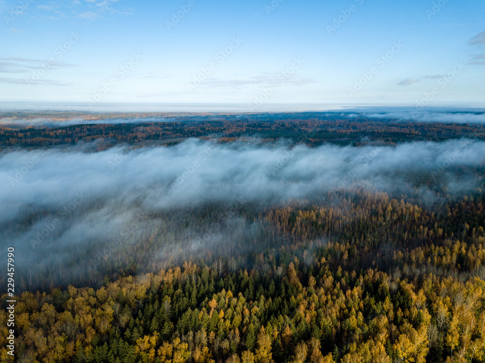 Fototapeta premium drone image. aerial view of rural area with fields and forests covered in mist