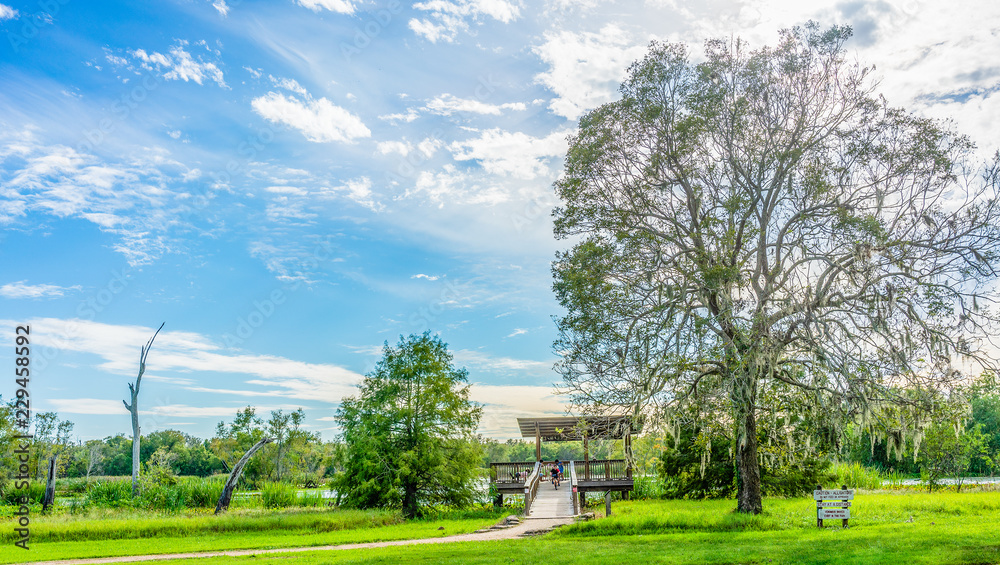 An observation pier bulit over a park's lake.