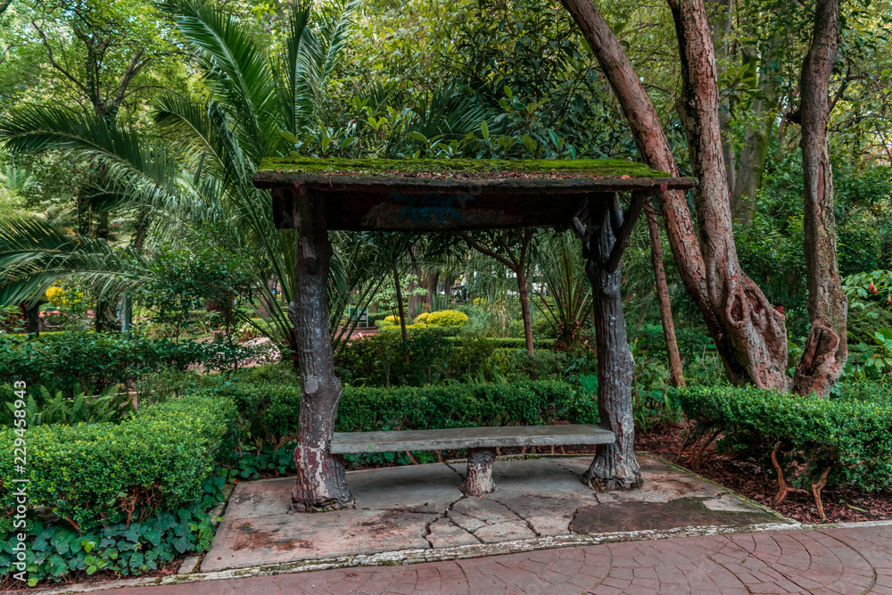 Wood bench in a green park