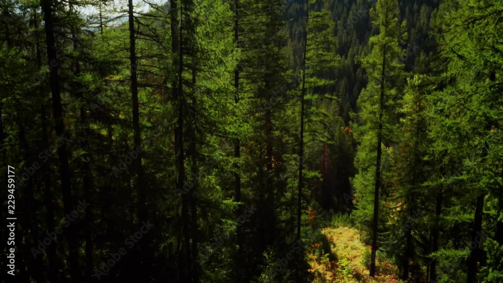 The Mountains of Northern Idaho